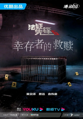 法证先锋6（粤）